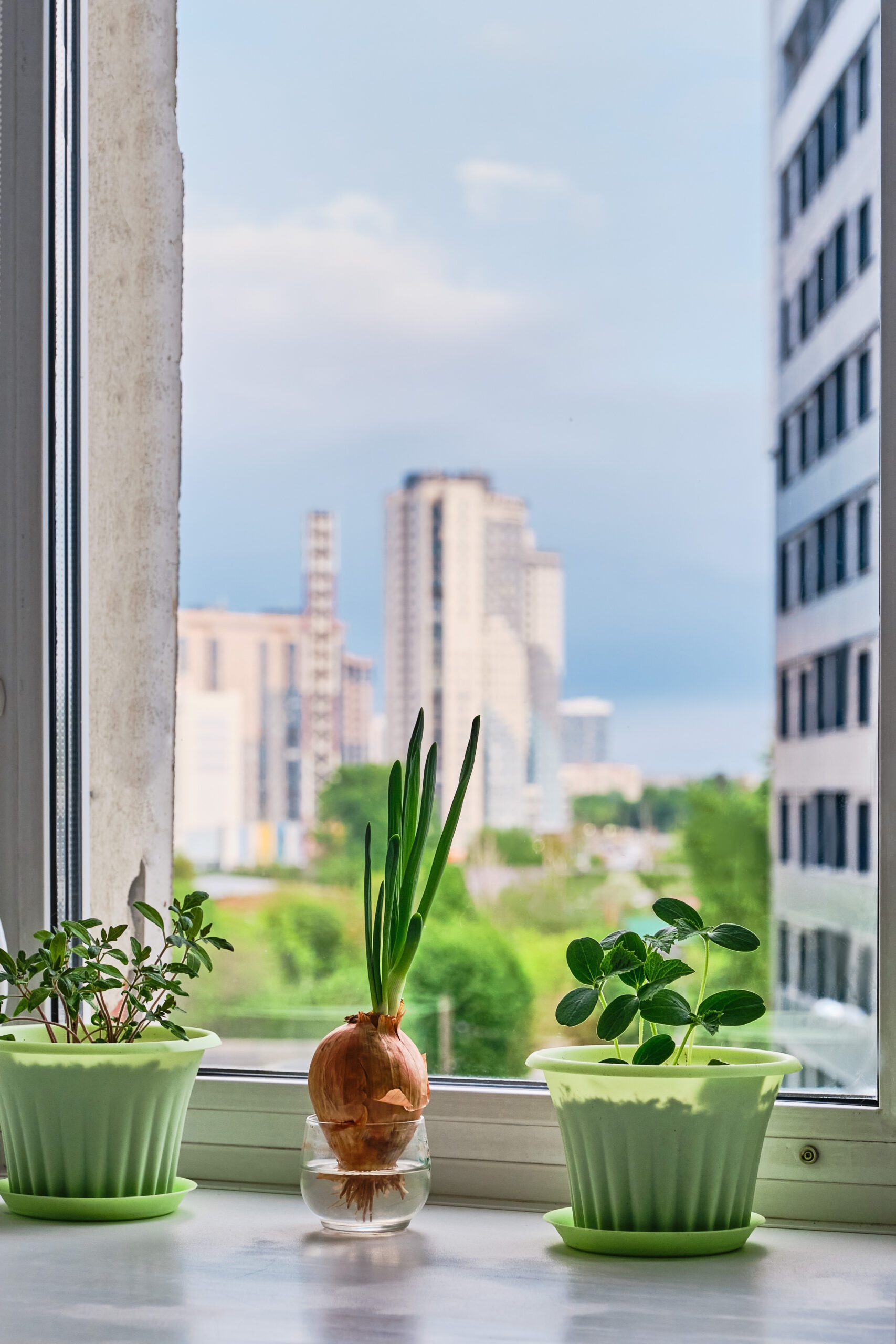 3m window film seattle
